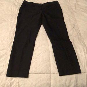 Express Columnist Pants